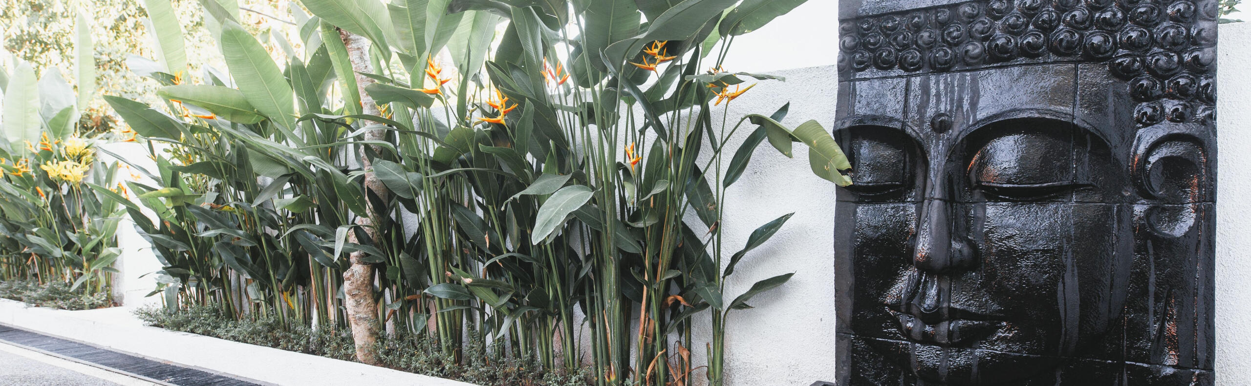 Lucious Tropical Gardens